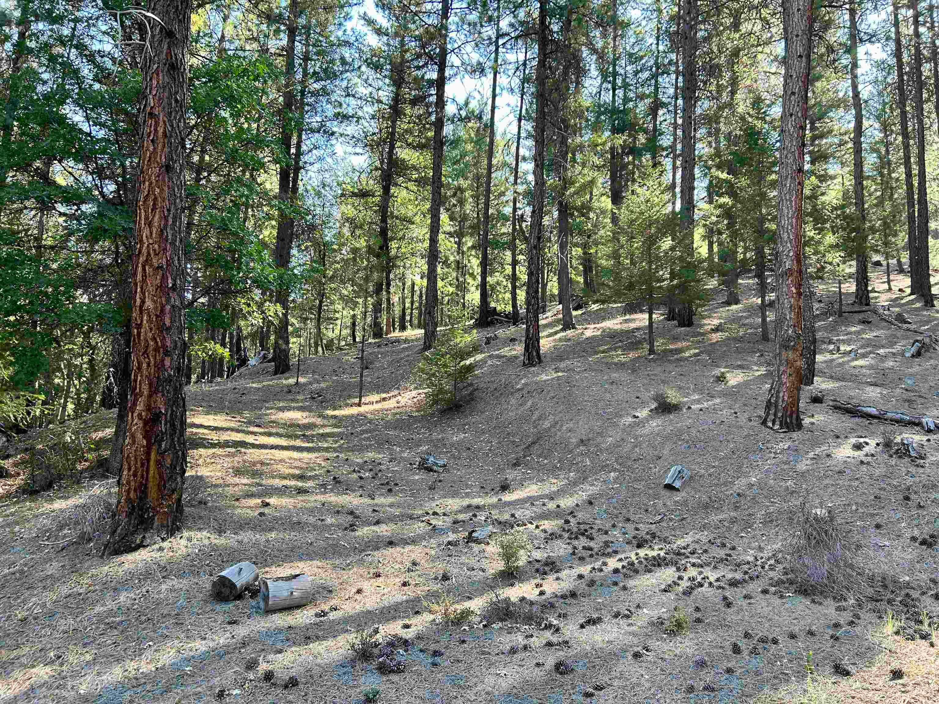 15.9-acres Tyler Gulch Road Fort Jones, CA 96032 - Photo 14 of 18 Gallery Image 14