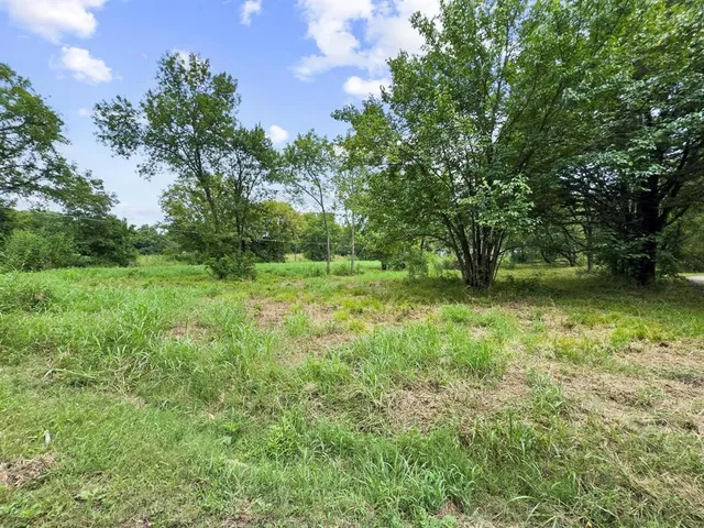 a view of a yard with plants and wooden fence