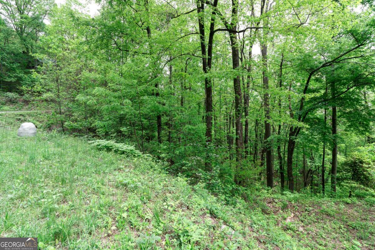 Lot 119 Outlook Road Murphy, NC 28906 - Photo 14 of 30