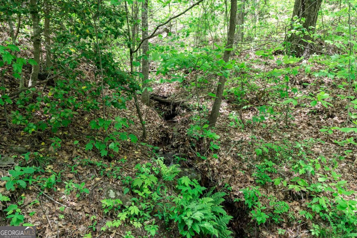 Lot 119 Outlook Road Murphy, NC 28906 - Photo 18 of 30