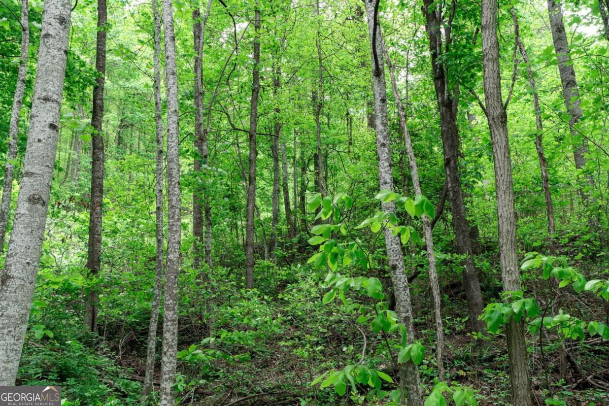 Lot 119 Outlook Road Murphy, NC 28906 - Photo 20 of 30