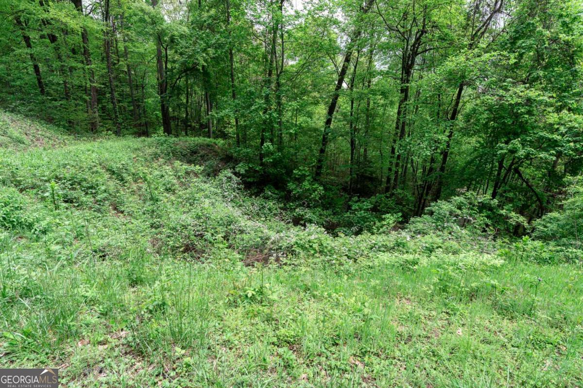 Lot 119 Outlook Road Murphy, NC 28906 - Photo 22 of 30