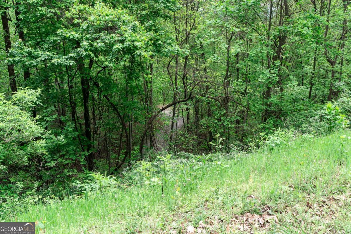 Lot 119 Outlook Road Murphy, NC 28906 - Photo 23 of 30