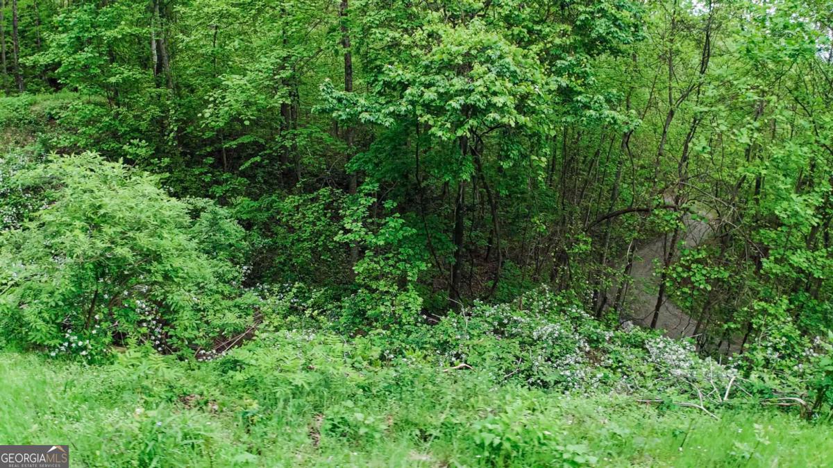 Lot 119 Outlook Road Murphy, NC 28906 - Photo 25 of 30