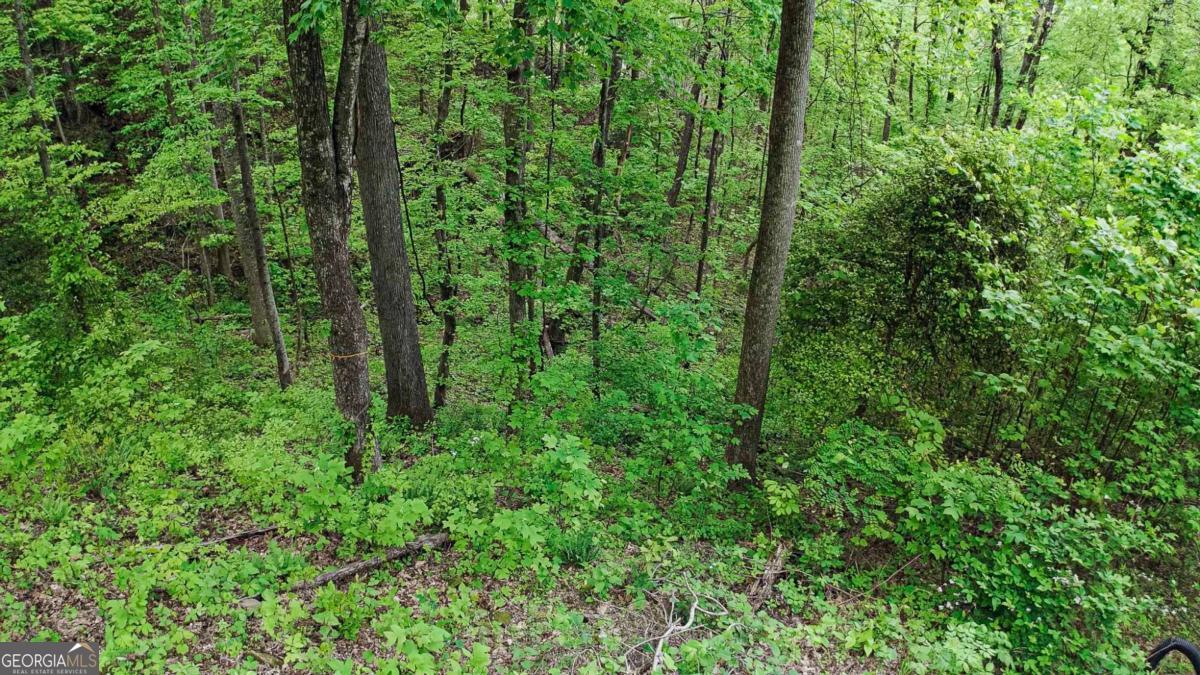 Lot 119 Outlook Road Murphy, NC 28906 - Photo 27 of 30