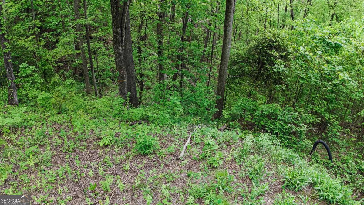 Lot 119 Outlook Road Murphy, NC 28906 - Photo 29 of 30