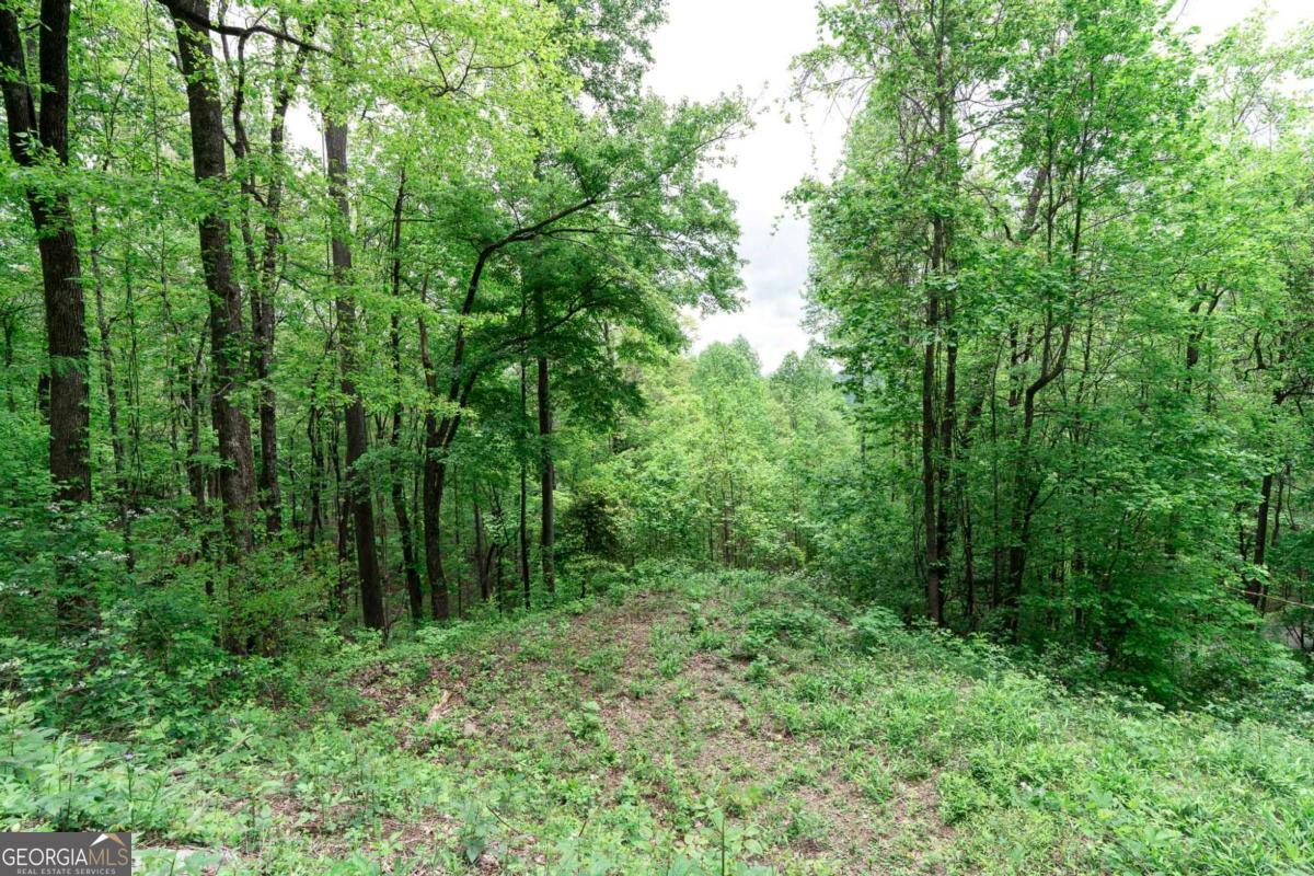 Lot 119 Outlook Road Murphy, NC 28906 - Photo 30 of 30