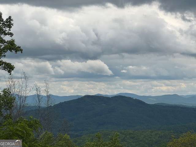 Lot 119 Outlook Road Murphy, NC 28906 - Photo 3 of 30