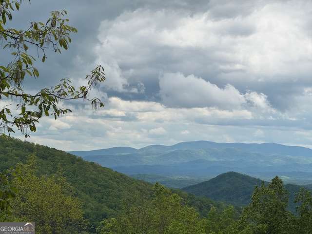 Lot 119 Outlook Road Murphy, NC 28906 - Photo 5 of 30