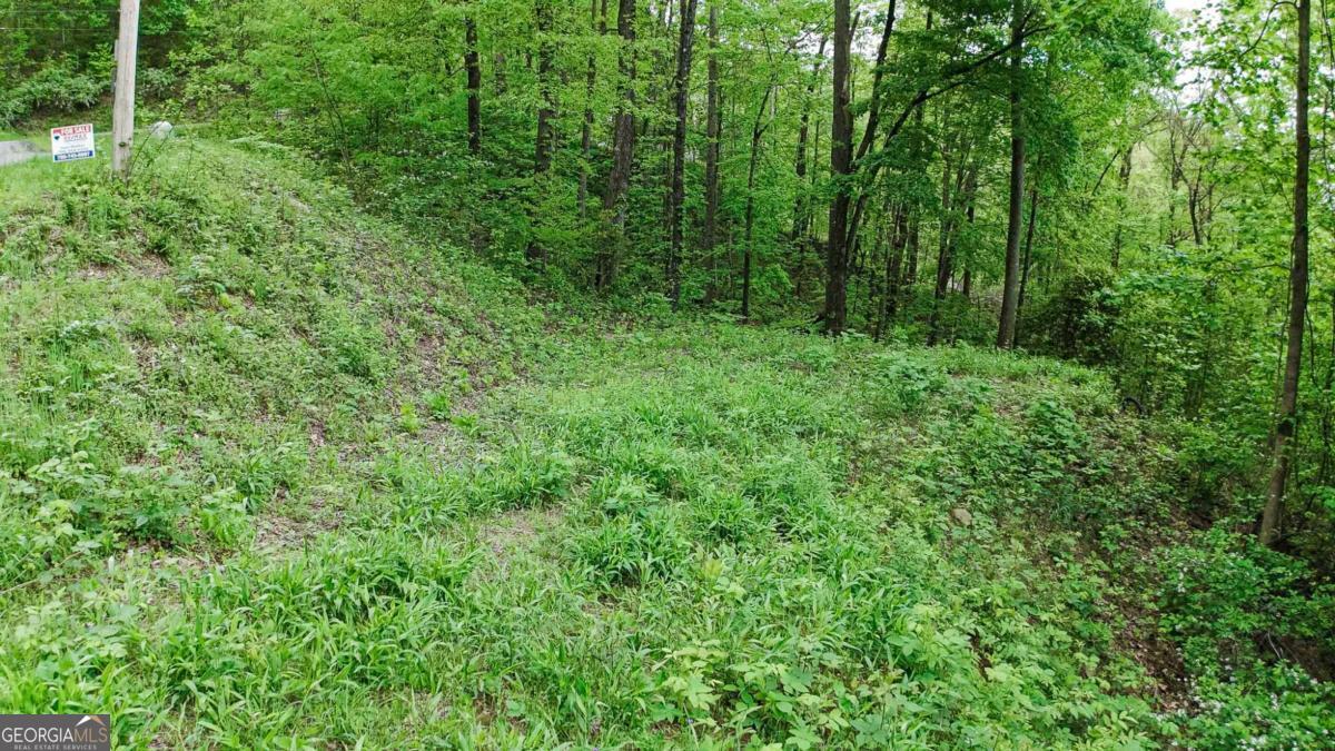 Lot 119 Outlook Road Murphy, NC 28906 - Photo 6 of 30