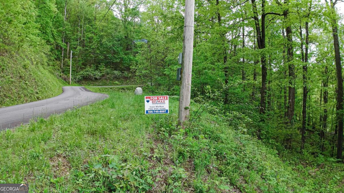 Lot 119 Outlook Road Murphy, NC 28906 - Photo 7 of 30