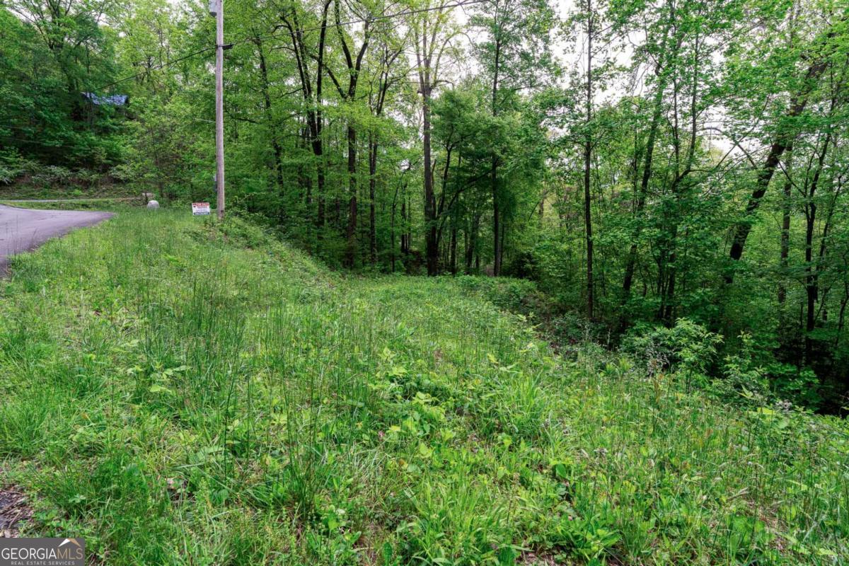 Lot 119 Outlook Road Murphy, NC 28906 - Photo 8 of 30