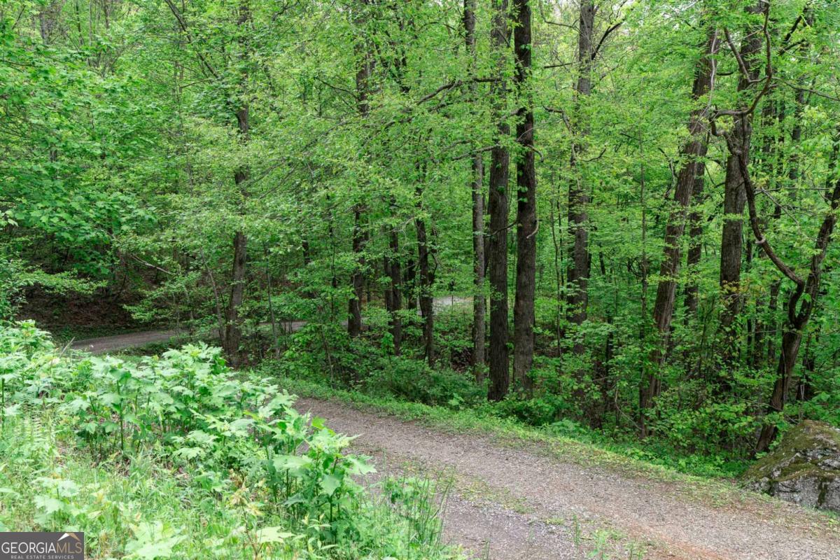 Lot 119 Outlook Road Murphy, NC 28906 - Photo 9 of 30