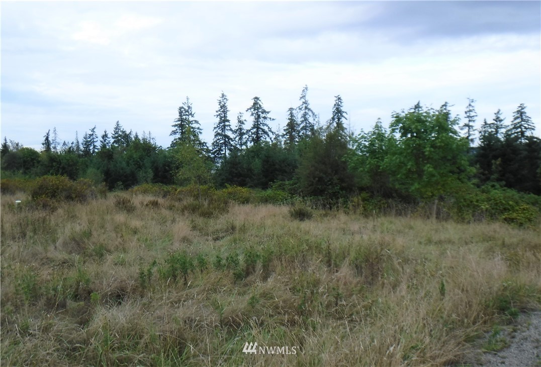 2 View Ridge Drive Sequim, WA 98382 - Photo 4 of 5 Gallery Image 4