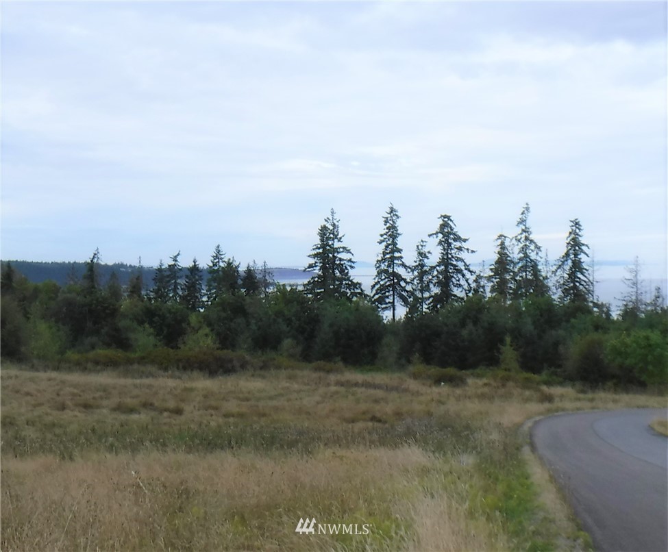 2 View Ridge Drive Sequim, WA 98382 - Photo 5 of 5 Gallery Image 5