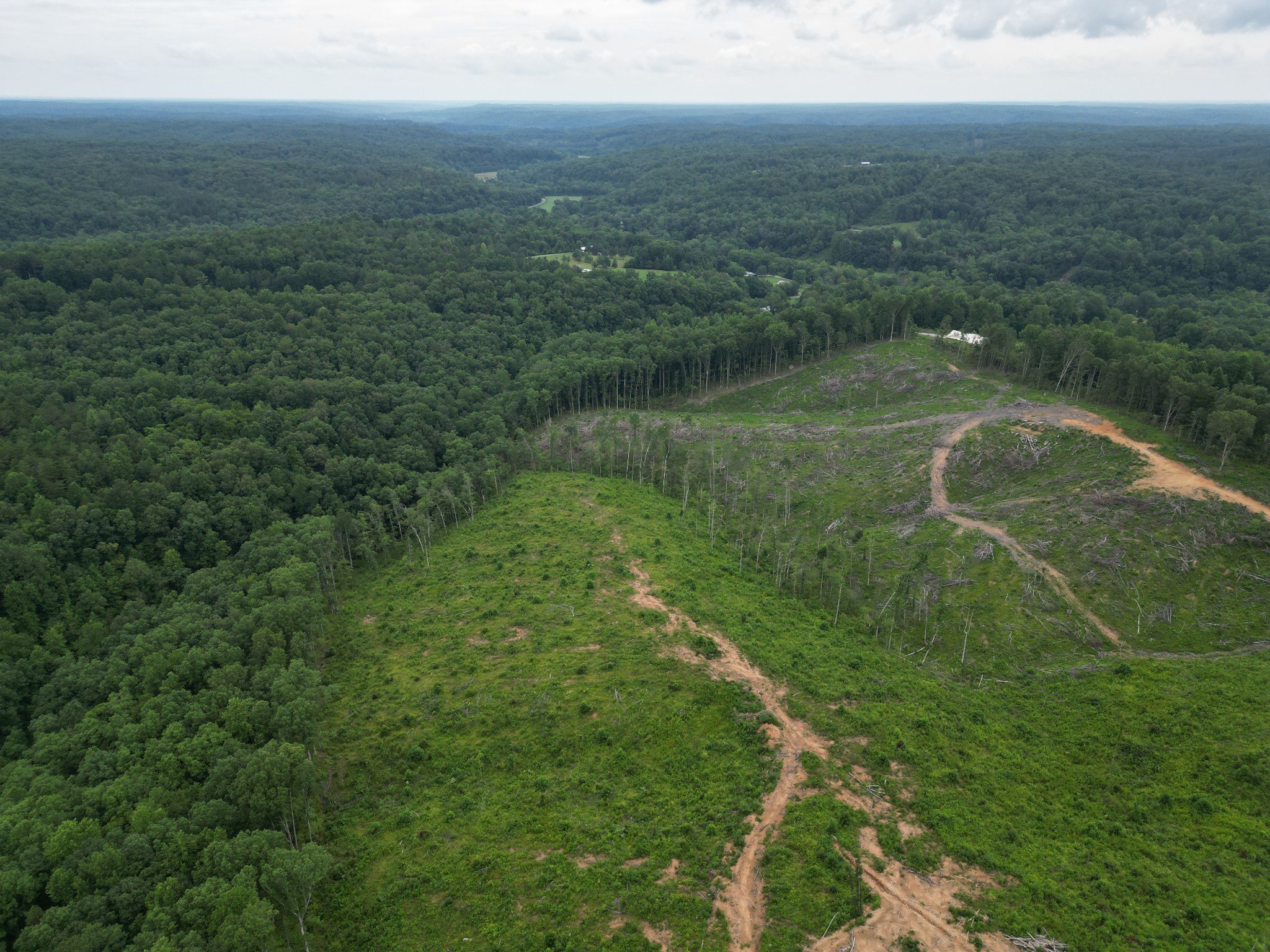 F Springer Road Hohenwald, TN 38462 - Photo 8 of 17 Gallery Image 8