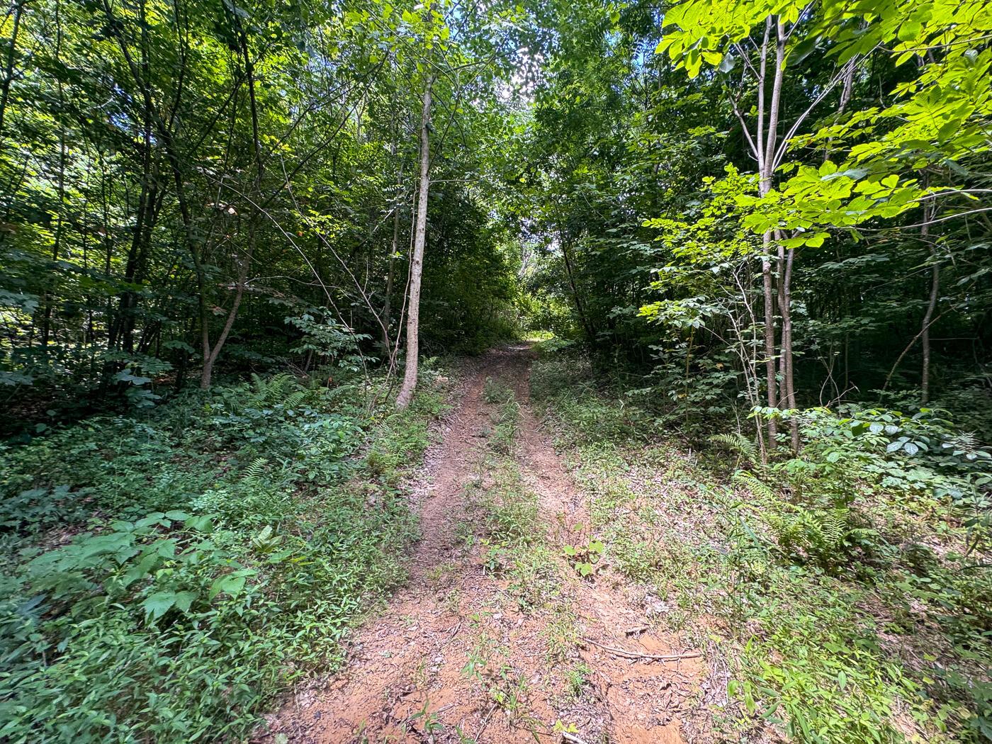 4313 Flint Ridge Road Northeast, Unit INT RIDGE TRACT 18 ACRE) Crooksville, OH 43731 - Photo 18 of 53 CT-18