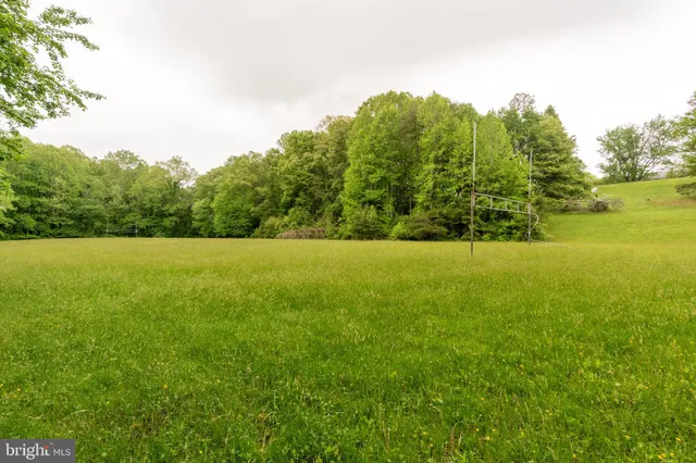 a view of yard with trees in the background
