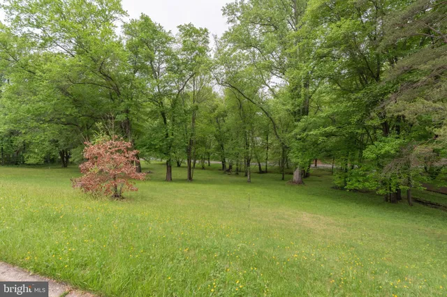 a garden with wooden fence