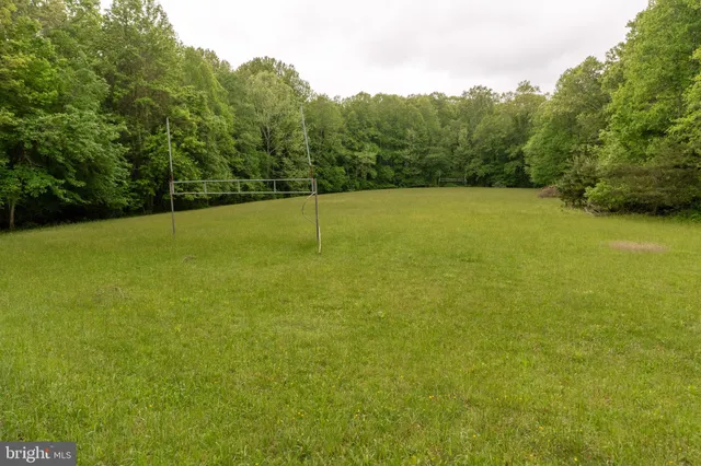 a view of a field with trees in the background