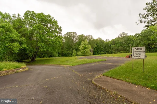 a view of a park with large trees