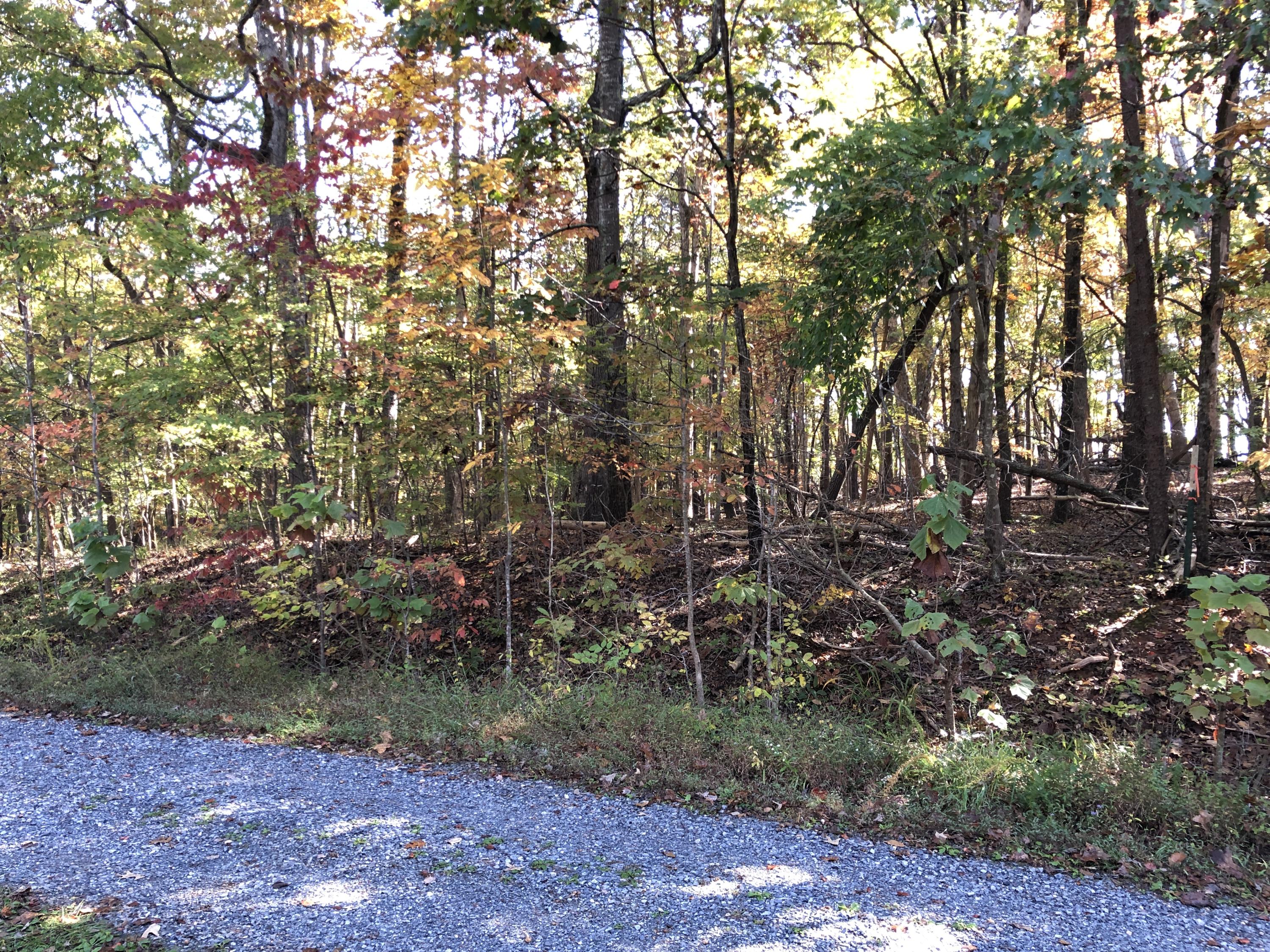 0 Cutlass Road Moneta, VA 24121 - Photo 3 of 9 Lot 7