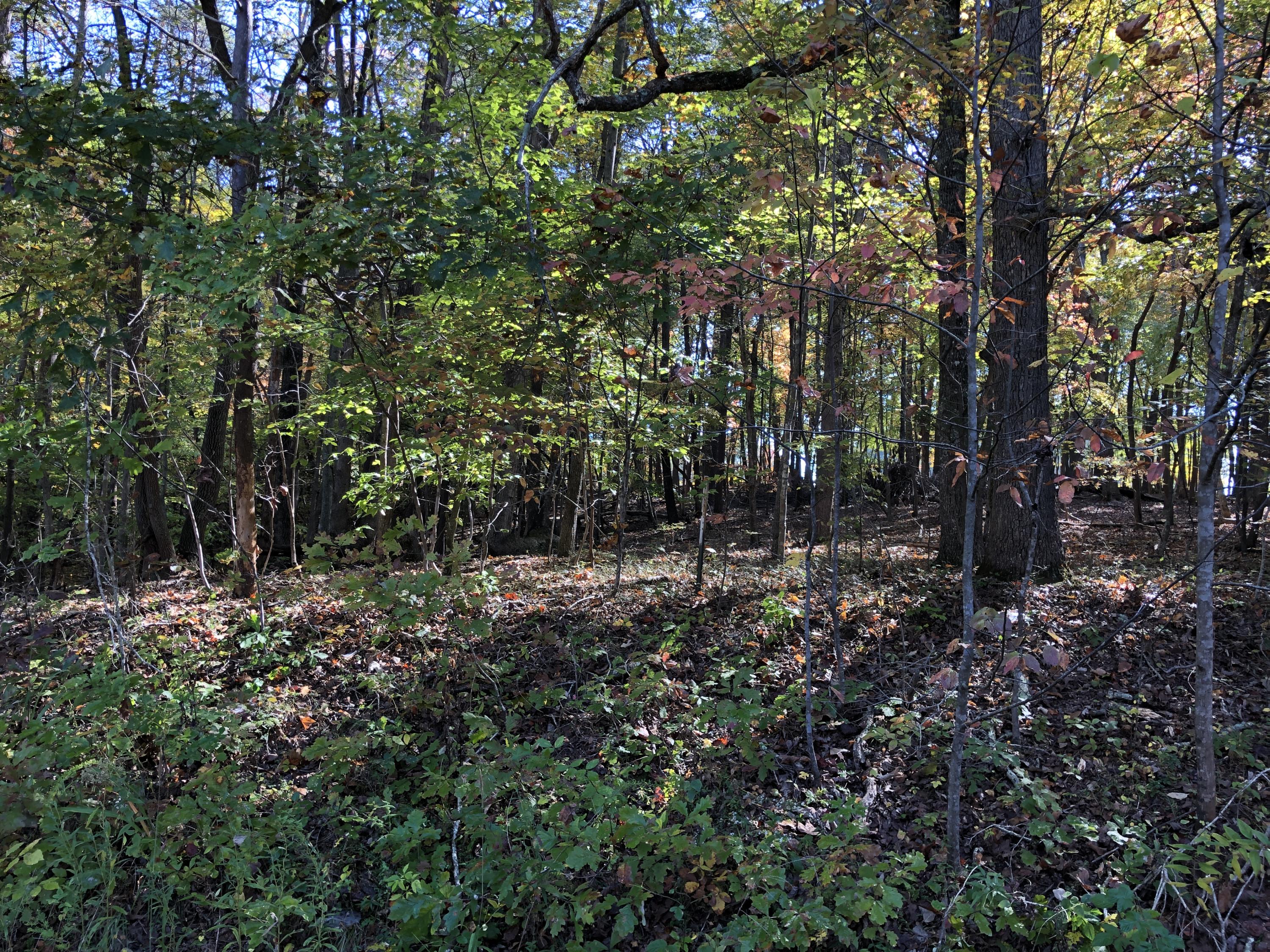 0 Cutlass Road Moneta, VA 24121 - Photo 4 of 9 Lot 7