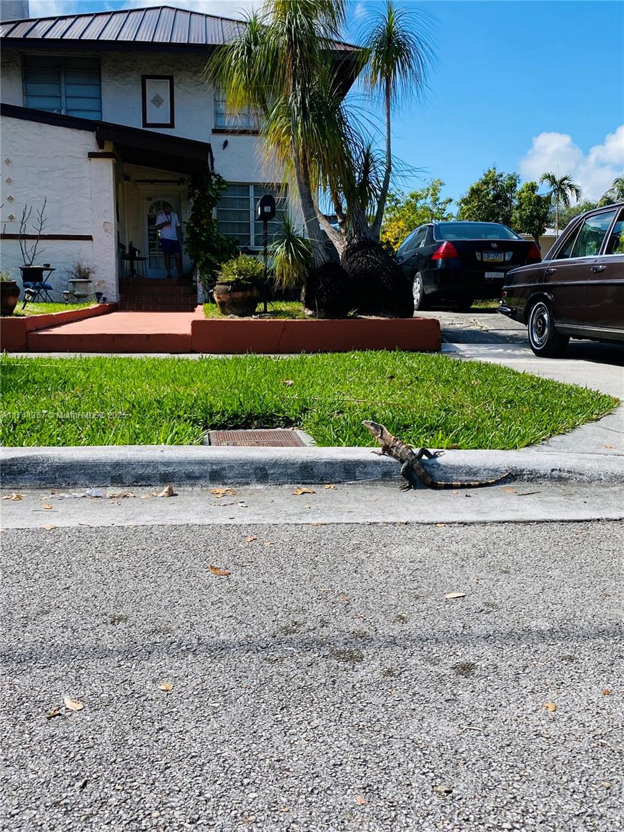 36 Southwest 20th Road Miami, FL 33129 - Photo 25 of 27 Gallery Image 25
