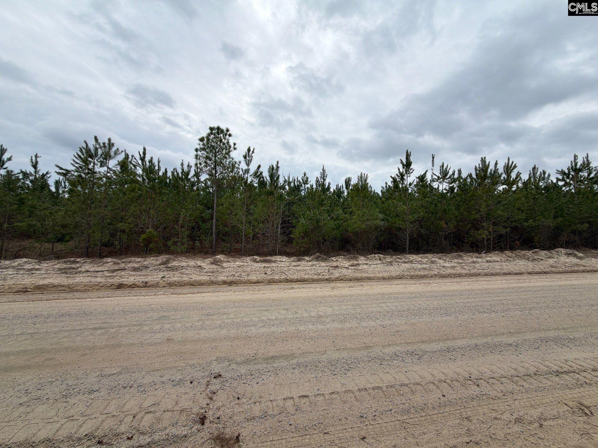 4 Jc Barefoot Road, Unit BFF II 4 Patrick, SC 29584 - Photo 11 of 32