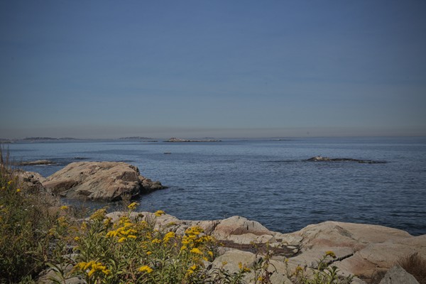 401 Jerusalem Road Cohasset, MA 02025 - Photo 29 of 29 a view of bed and couch