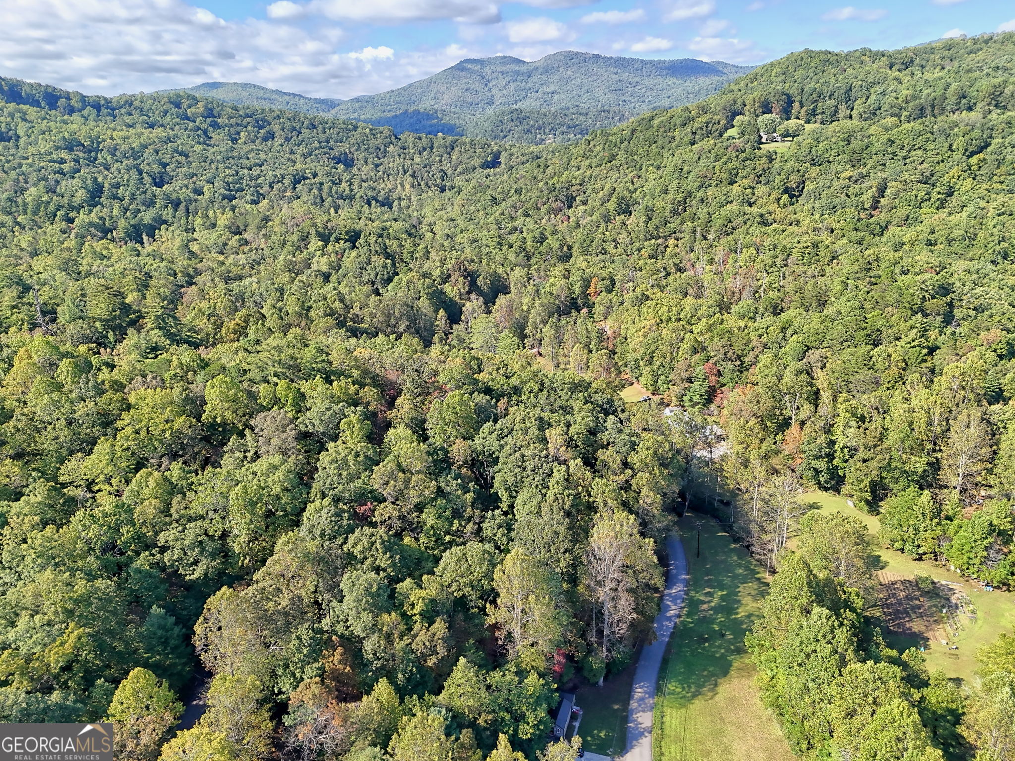 0 Woodall Road Tiger, GA 30576 - Photo 14 of 14 a view of a lush green field with a mountain in the background