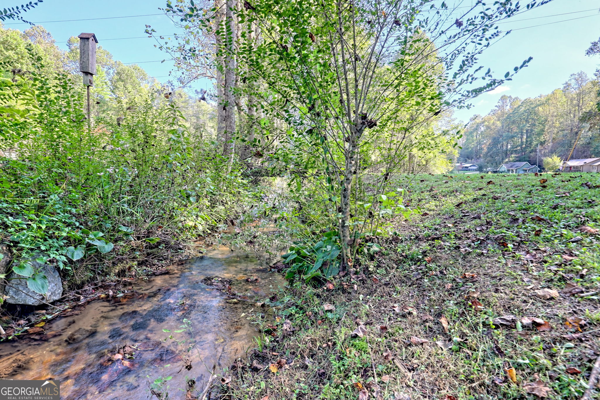0 Woodall Road Tiger, GA 30576 - Photo 4 of 14 a view of a yard with plants and trees