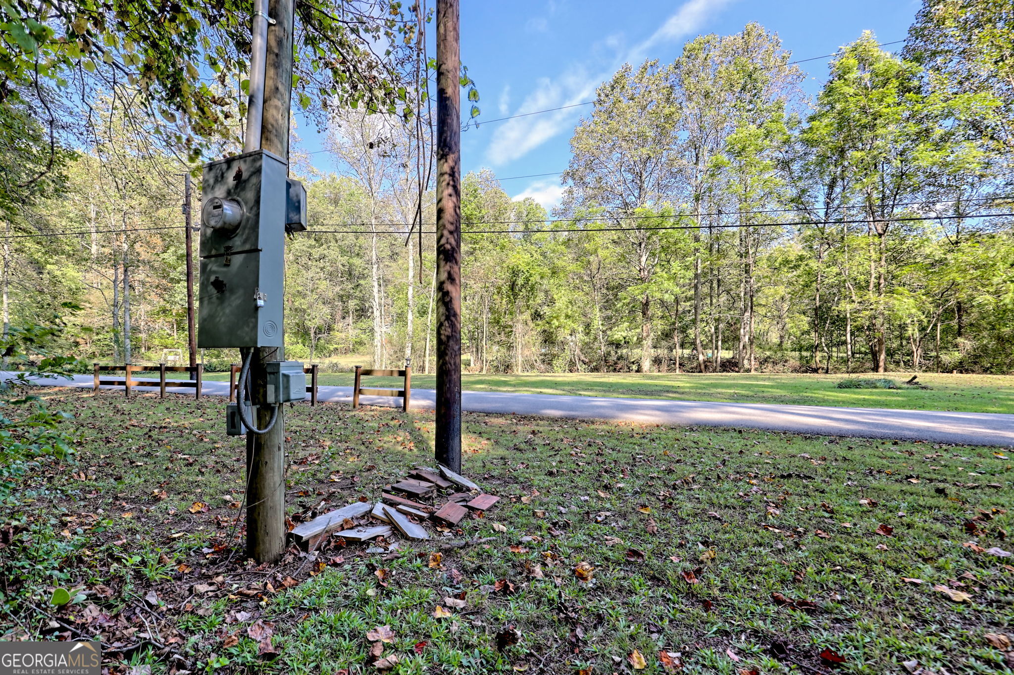 0 Woodall Road Tiger, GA 30576 - Photo 7 of 14 a view of a yard with plants