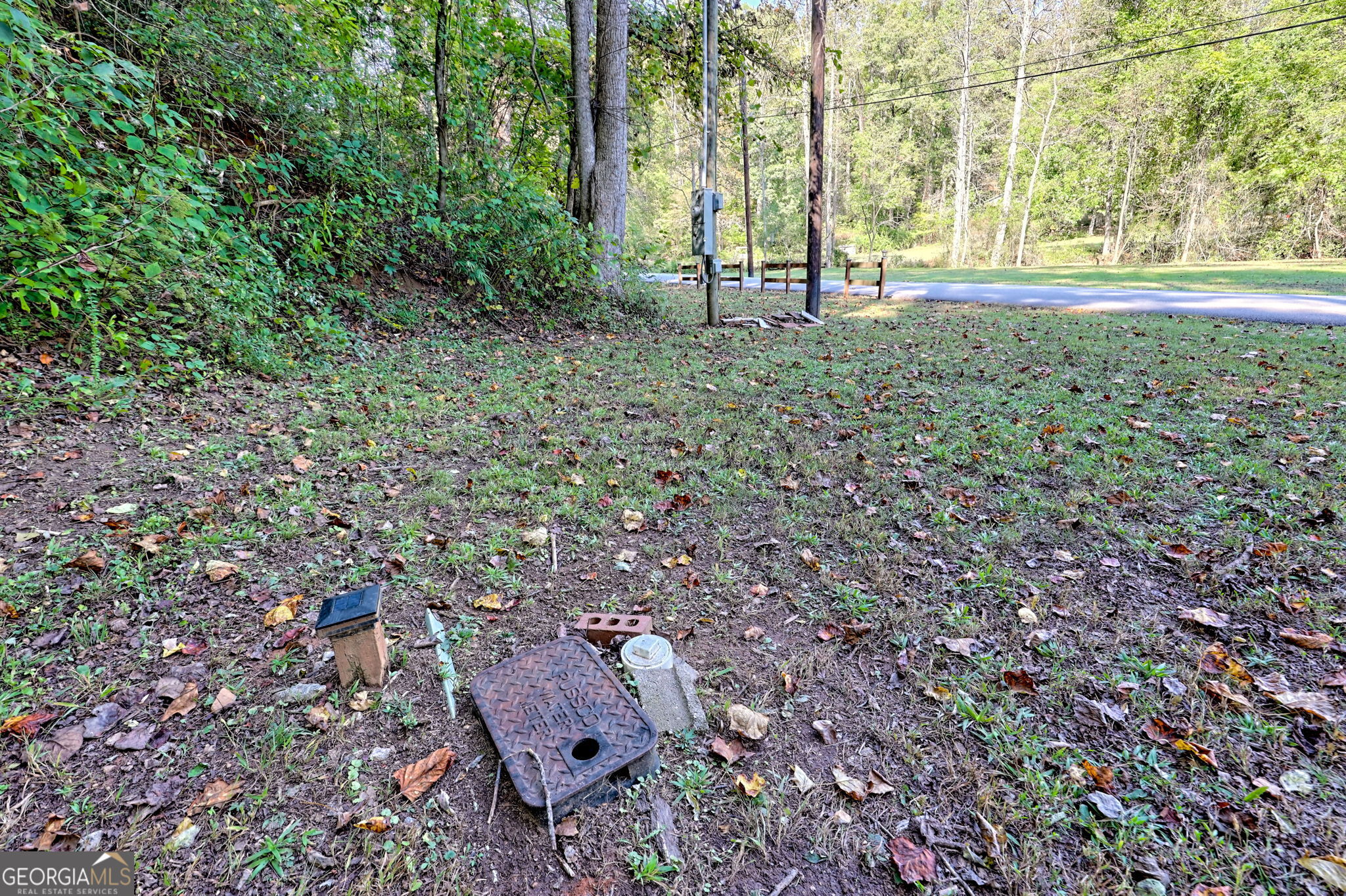 0 Woodall Road Tiger, GA 30576 - Photo 8 of 14 a view of yard