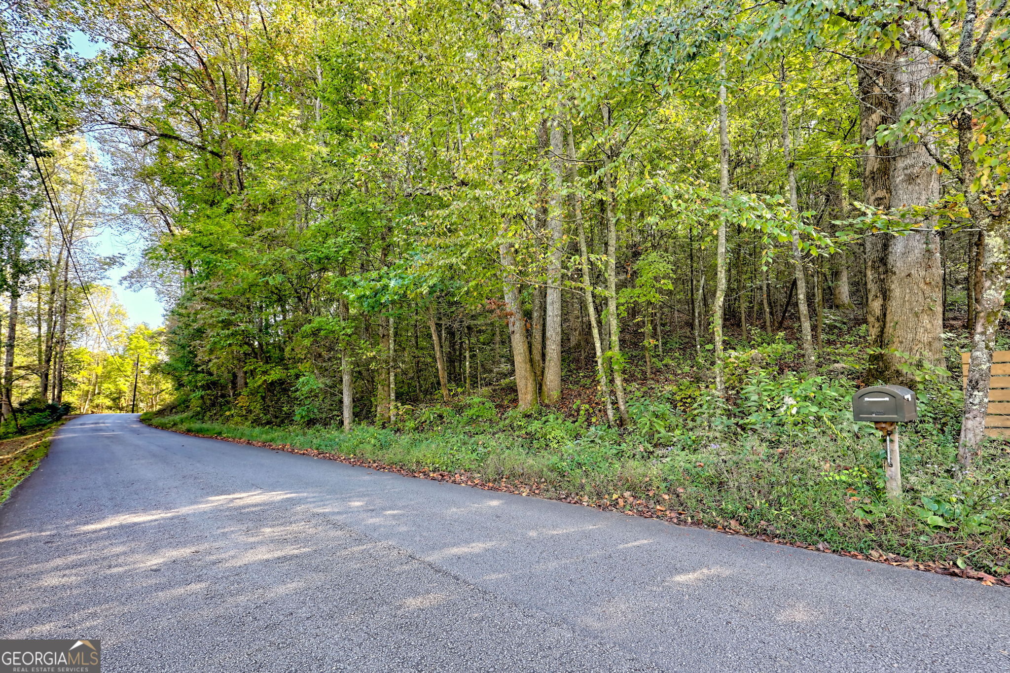 0 Woodall Road Tiger, GA 30576 - Photo 9 of 14 a view of a garden with plants and large trees
