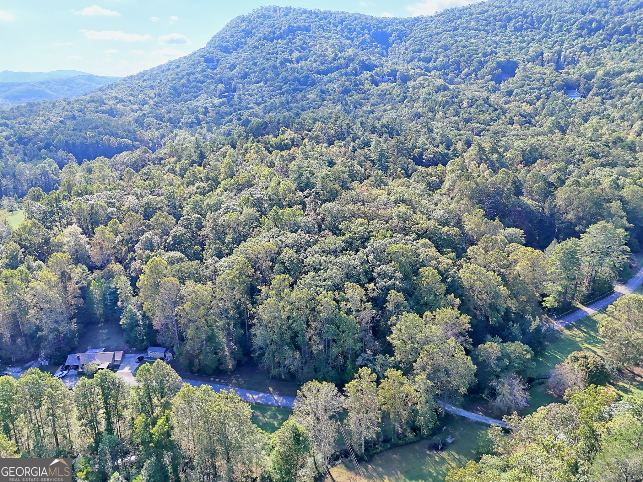 0 Woodall Road Tiger, GA 30576 - Photo 10 of 14 a view of a field with plants and trees