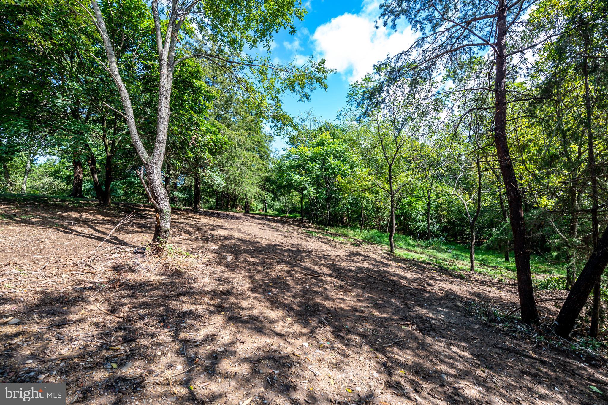 1097 Ridings Mill Road Middletown, VA 22645 - Photo 33 of 47 Gallery Image 33