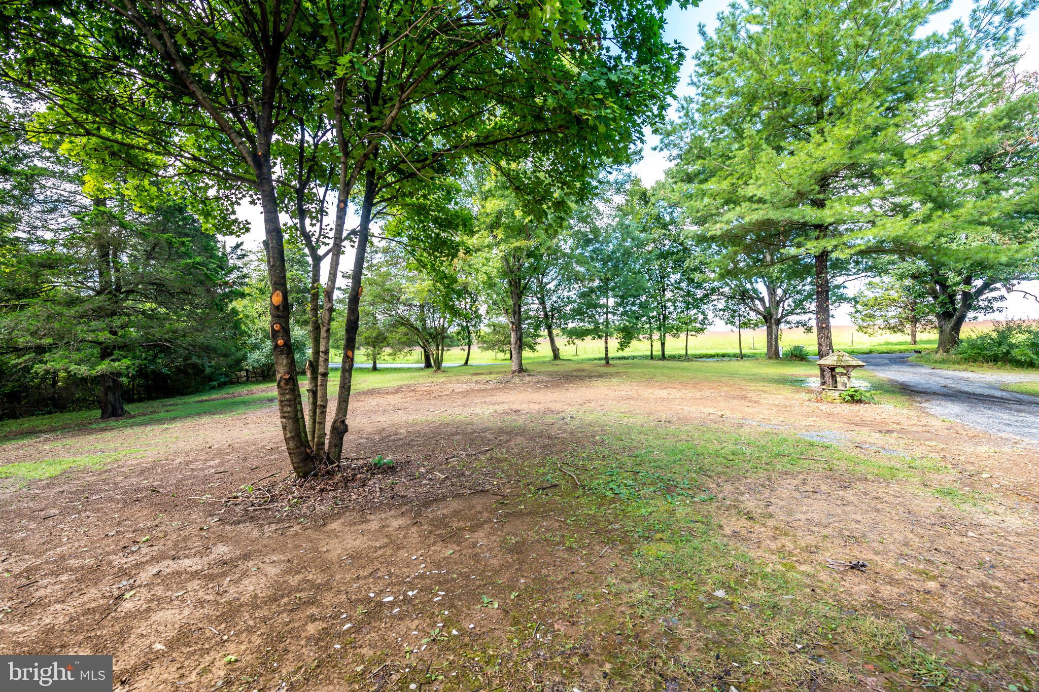 1097 Ridings Mill Road Middletown, VA 22645 - Photo 5 of 47 Gallery Image 5