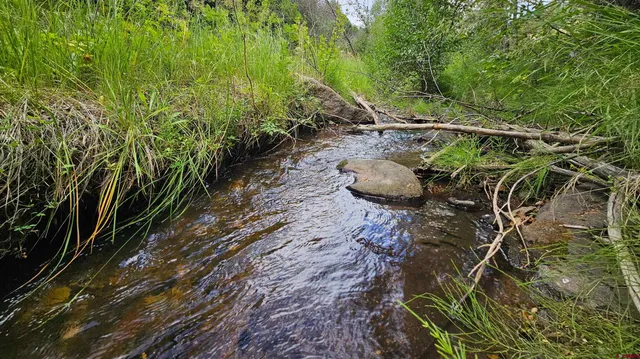 a backyard of a house with lots of green space
