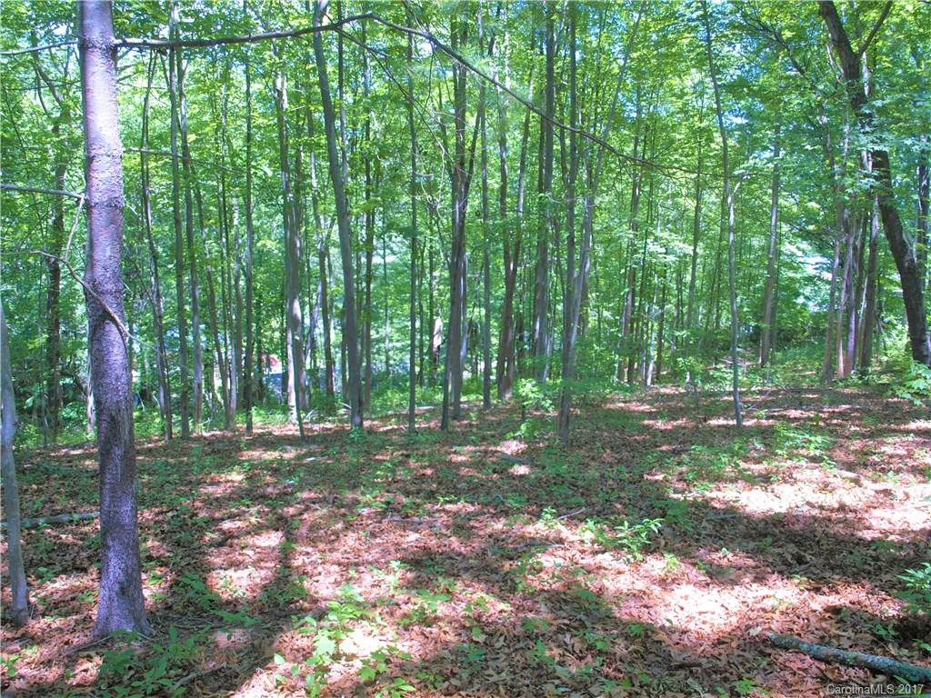 0 Lee Road Clyde, NC 28721 - Photo 1 of 16