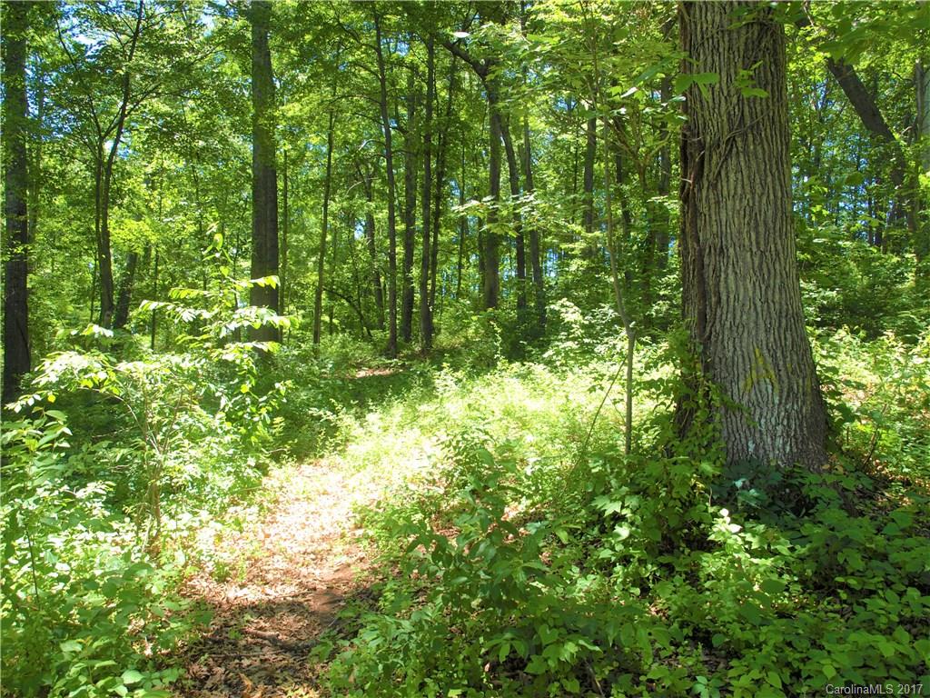 0 Lee Road Clyde, NC 28721 - Photo 13 of 16