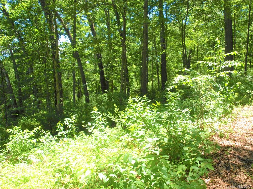 0 Lee Road Clyde, NC 28721 - Photo 14 of 16