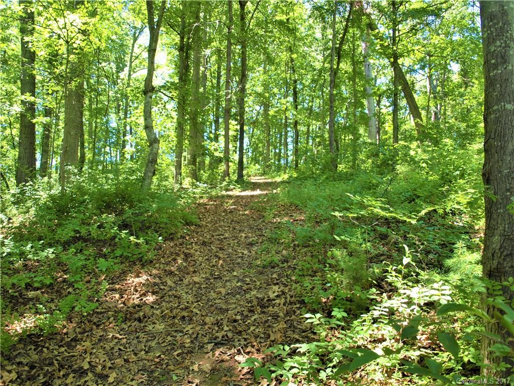 0 Lee Road Clyde, NC 28721 - Photo 15 of 16