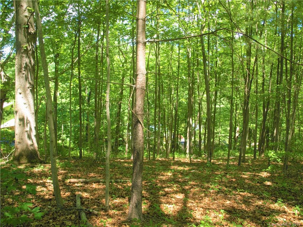 0 Lee Road Clyde, NC 28721 - Photo 16 of 16
