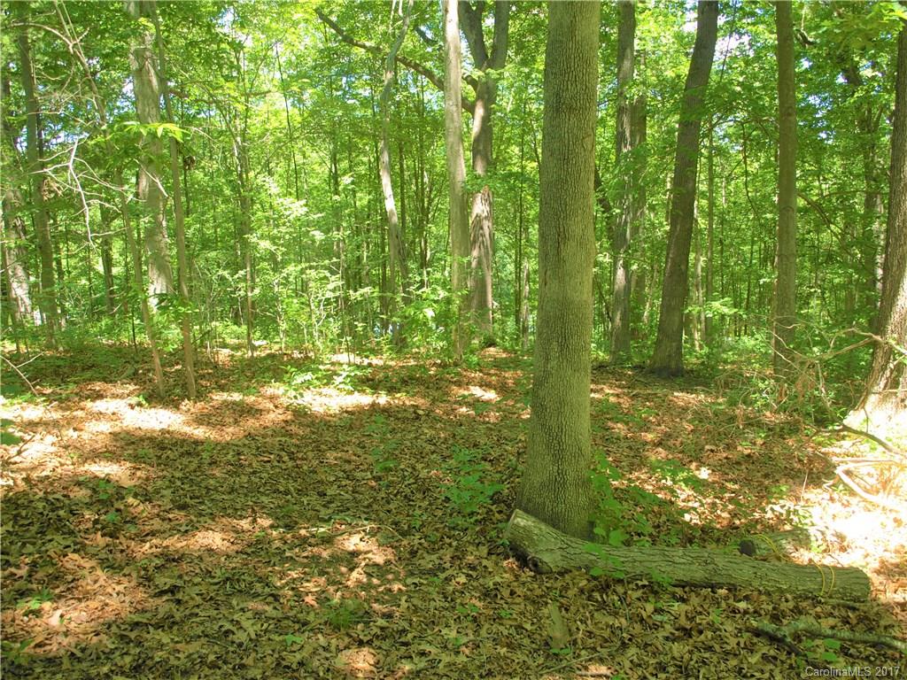 0 Lee Road Clyde, NC 28721 - Photo 3 of 16