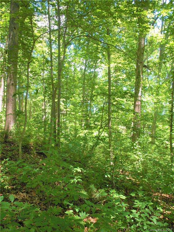 0 Lee Road Clyde, NC 28721 - Photo 4 of 16