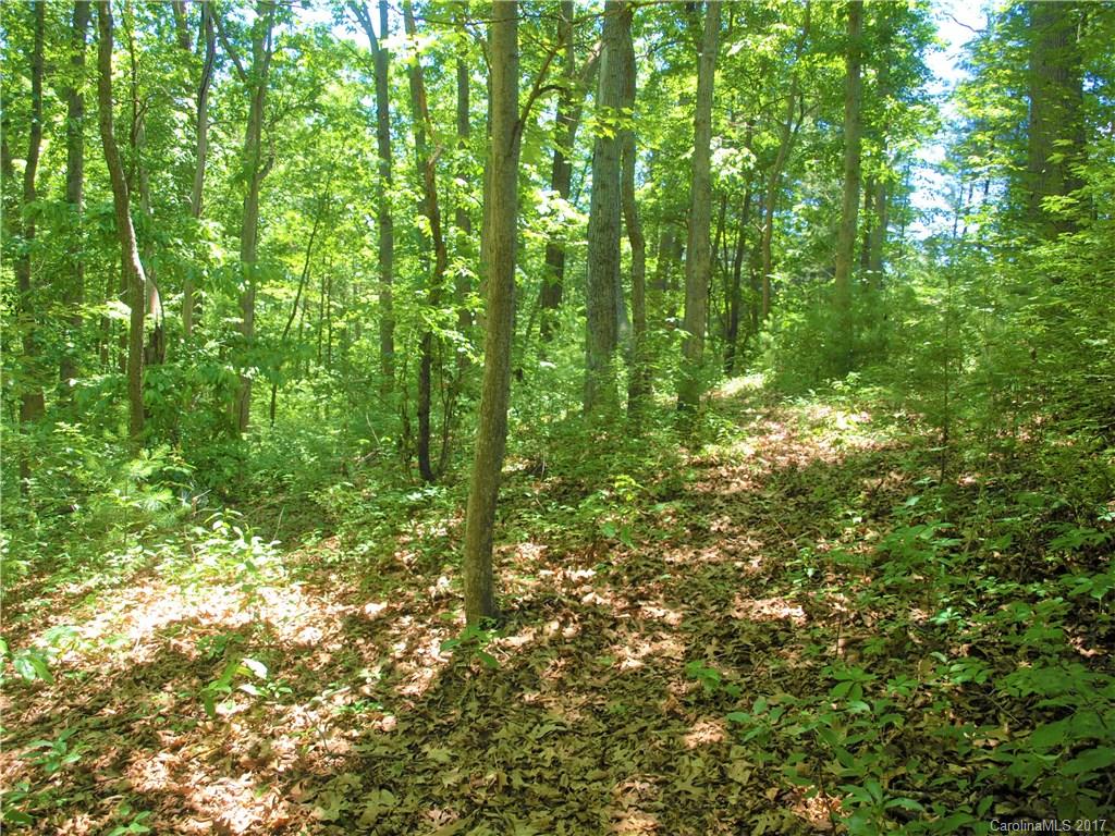 0 Lee Road Clyde, NC 28721 - Photo 5 of 16