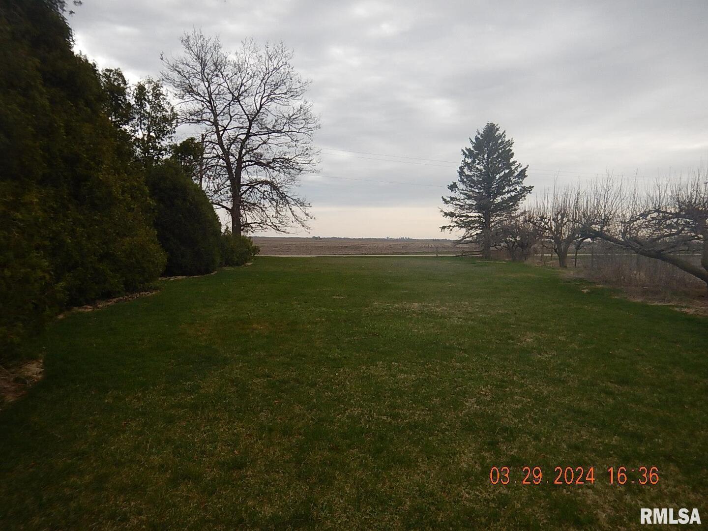 29470 Saxon Road Galva, IL 61434 - Photo 7 of 23 a view of yard with green space