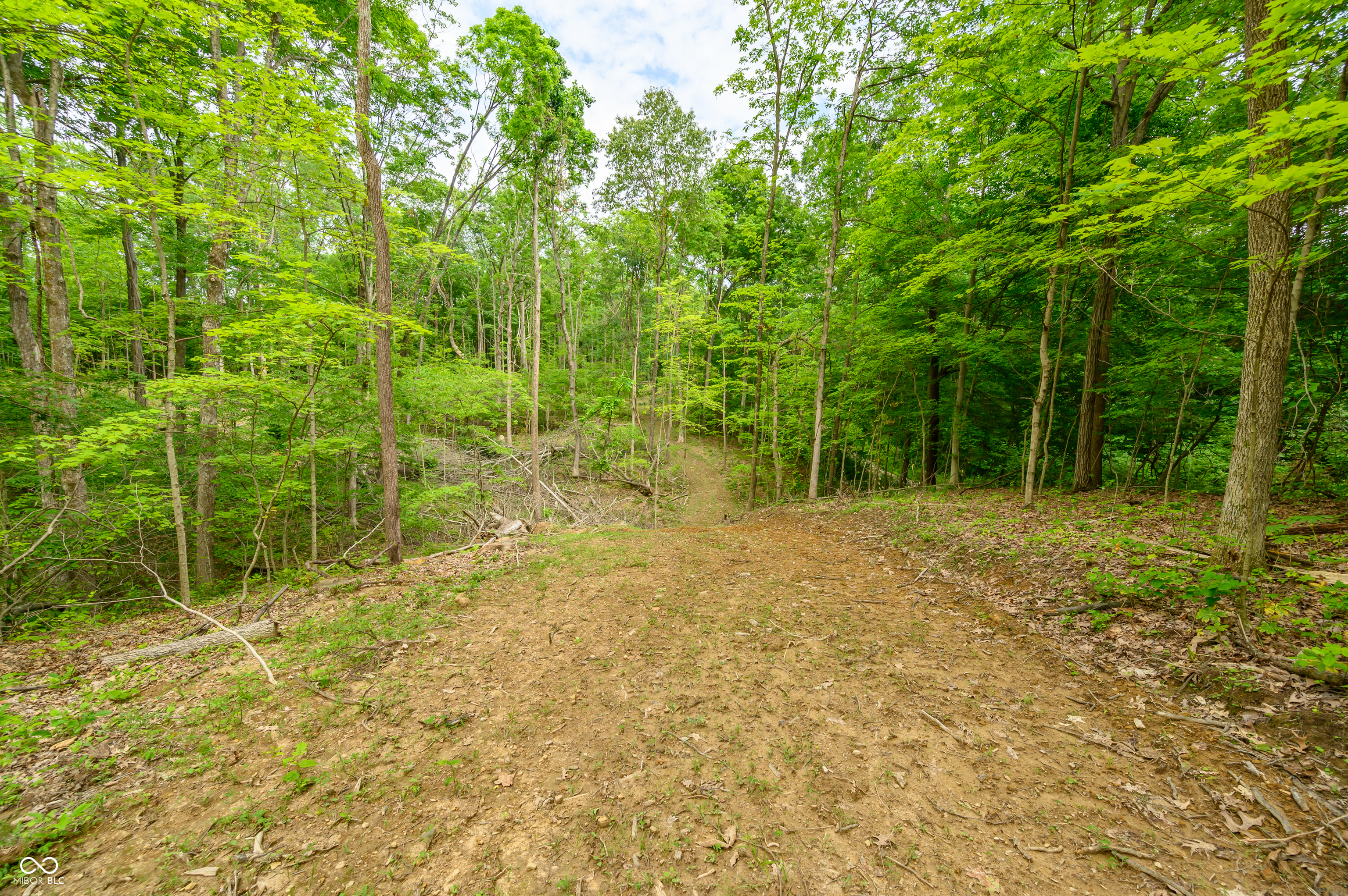 9061 Old Haggard Road Morgantown, IN 46160 - Photo 11 of 25 Gallery Image 11