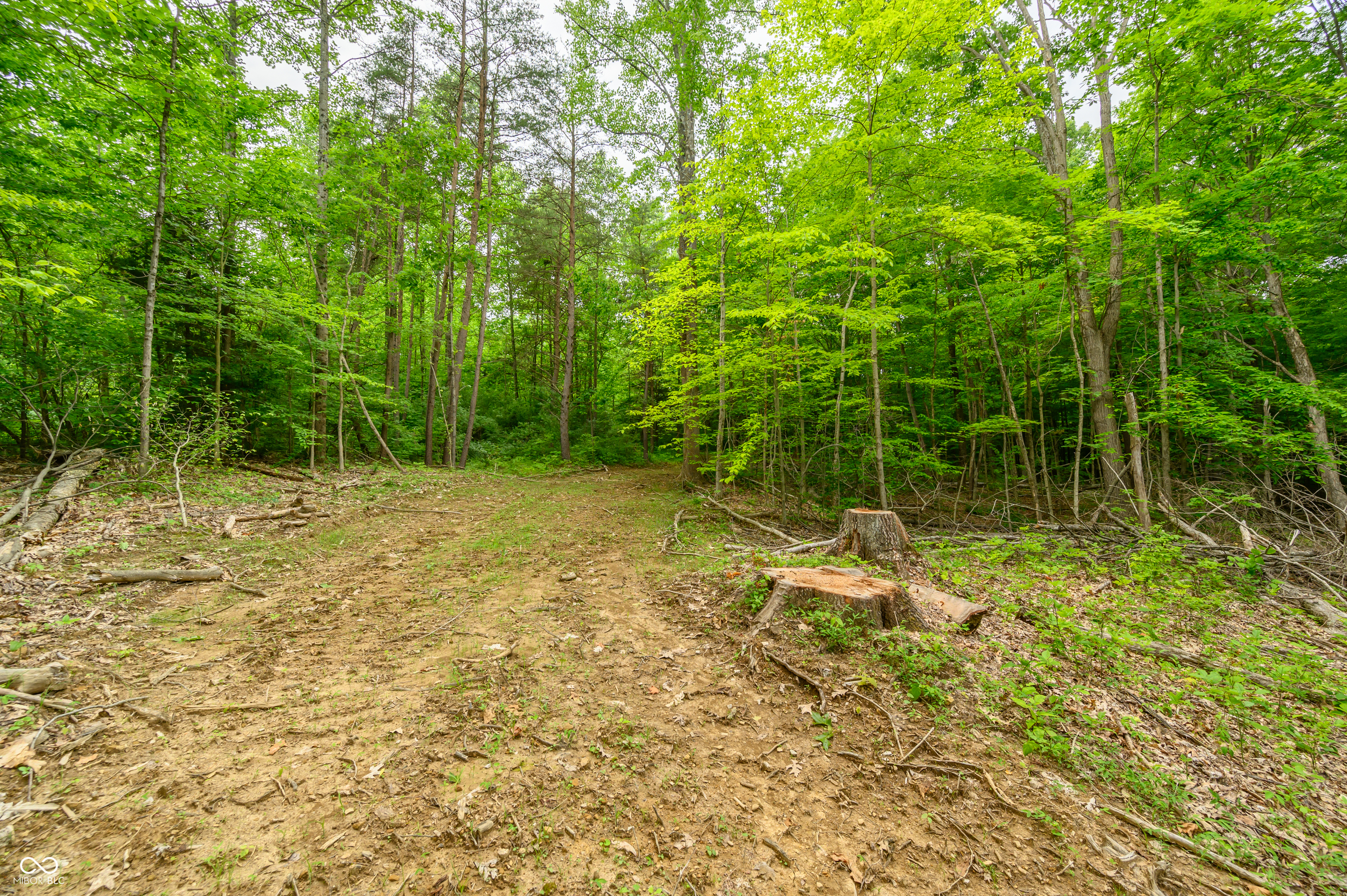 9061 Old Haggard Road Morgantown, IN 46160 - Photo 12 of 25 Gallery Image 12